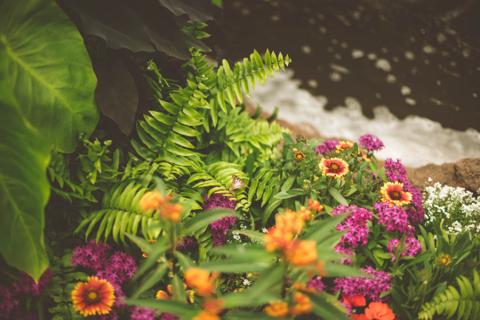 Landscaping company in UAE