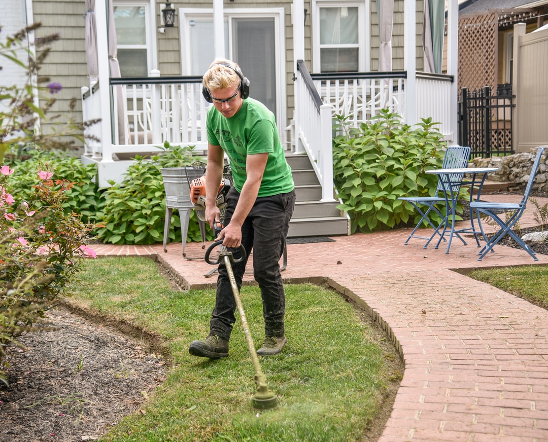 Best landscaping service in abudhabi