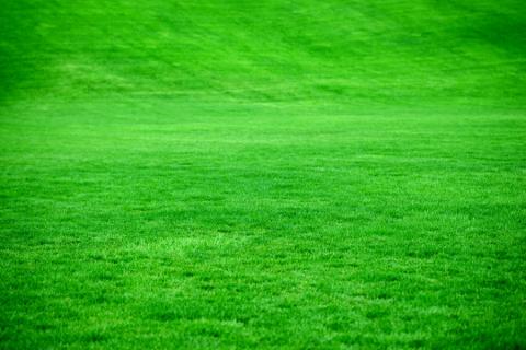 Best landscaping solutions